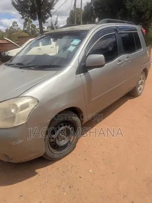 Toyota Raum 2003 Gray
