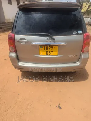 Toyota Raum 2003 Gray
