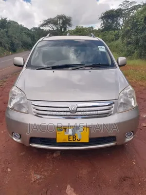 Toyota Raum 2003 Silver