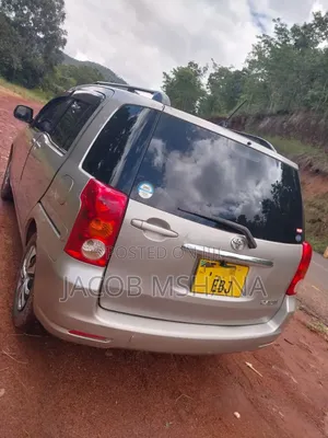Toyota Raum 2003 Silver