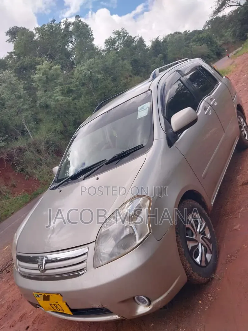 Toyota Raum 2003 Silver