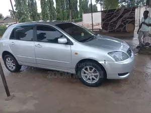 Toyota Corolla RunX 2004 Silver