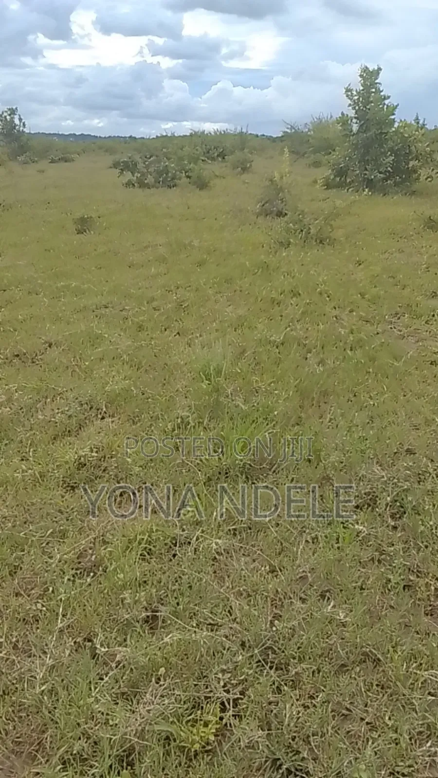 Shamba Linauzwa