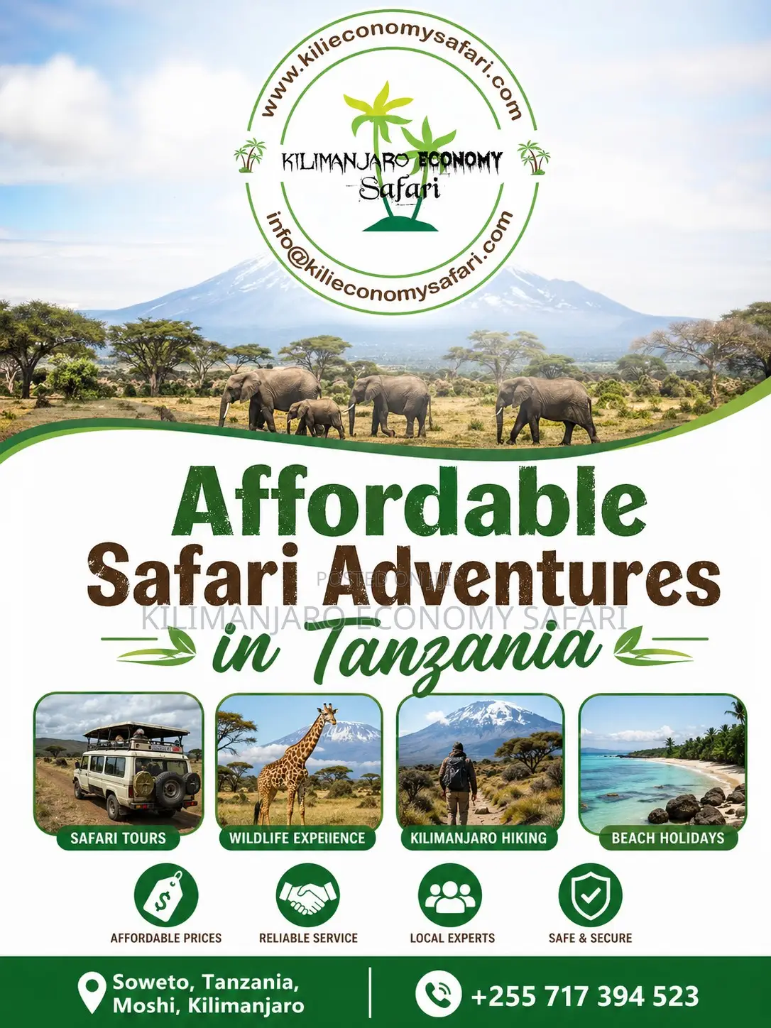 Affordable Safari Adventures in Tanzania