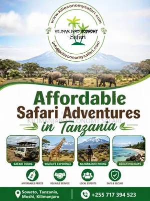 Affordable Safari Adventures in Tanzania