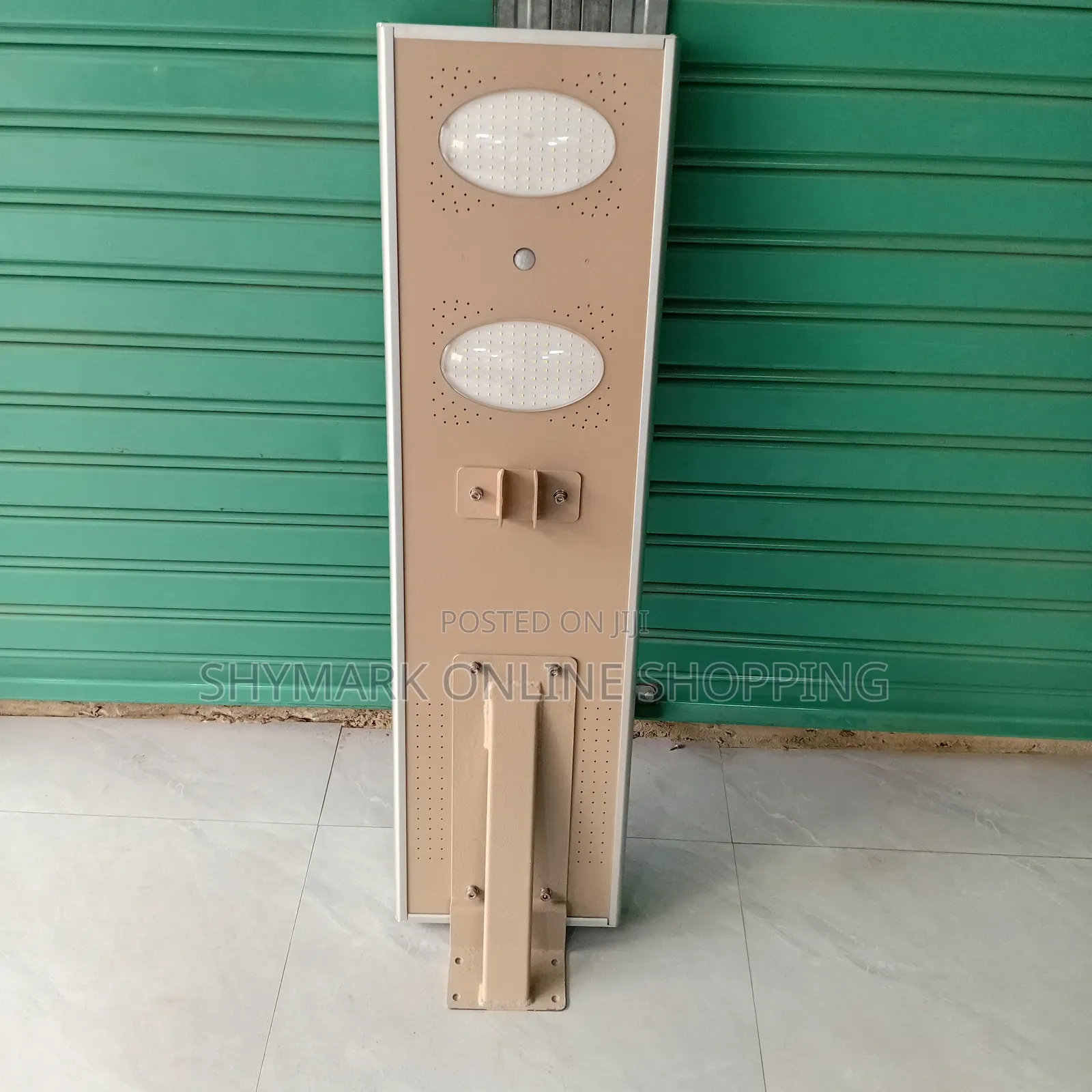 Solar Street Light Heavy Duty 100w