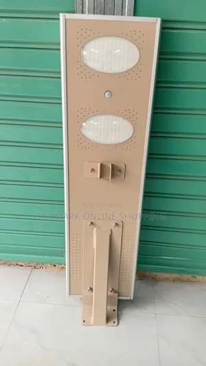 Solar Street Light Heavy Duty 100w
