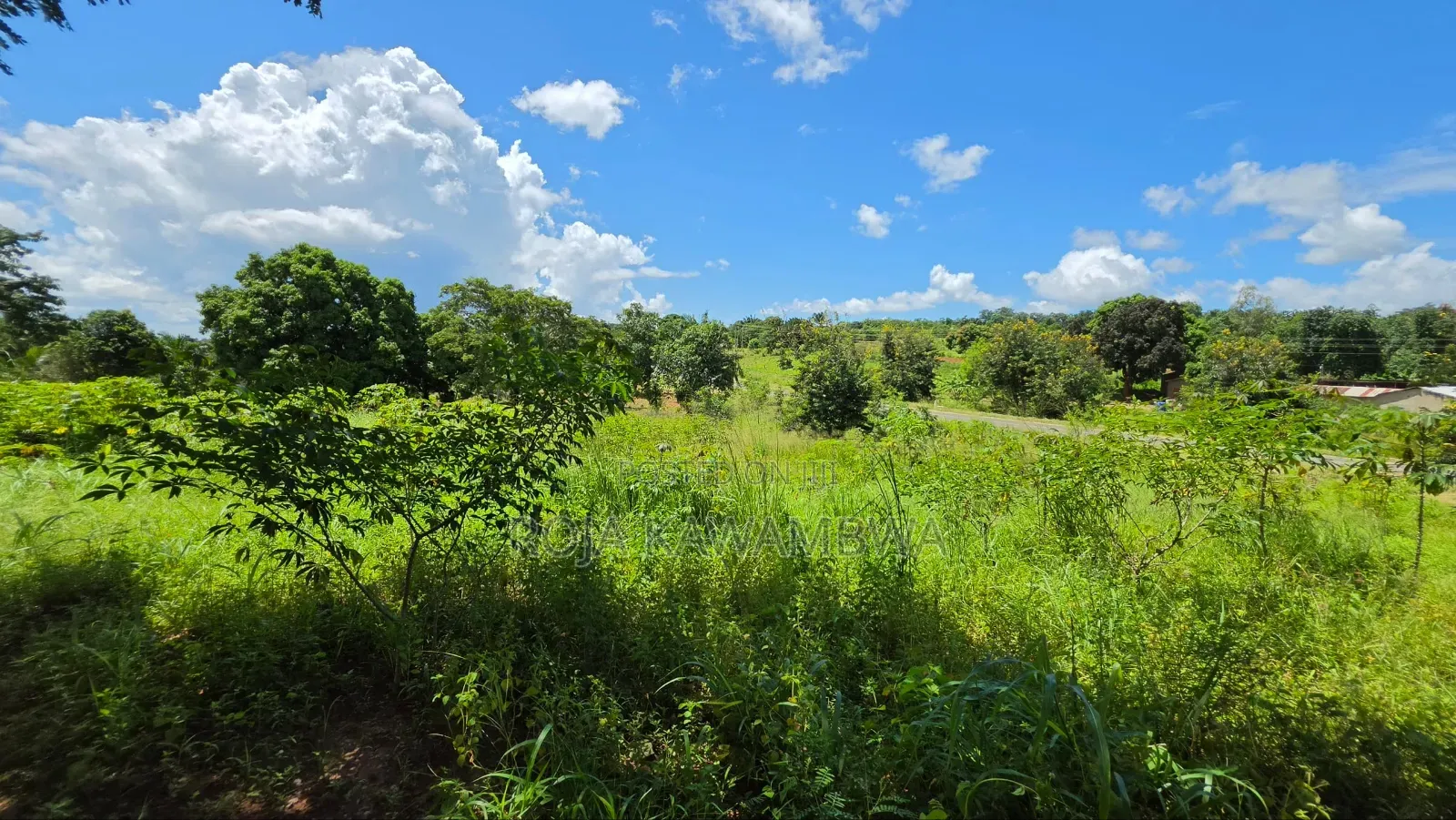 Shamba Linauzwa
