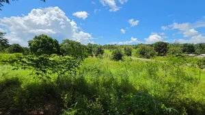 Shamba Linauzwa