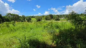 Shamba Linauzwa