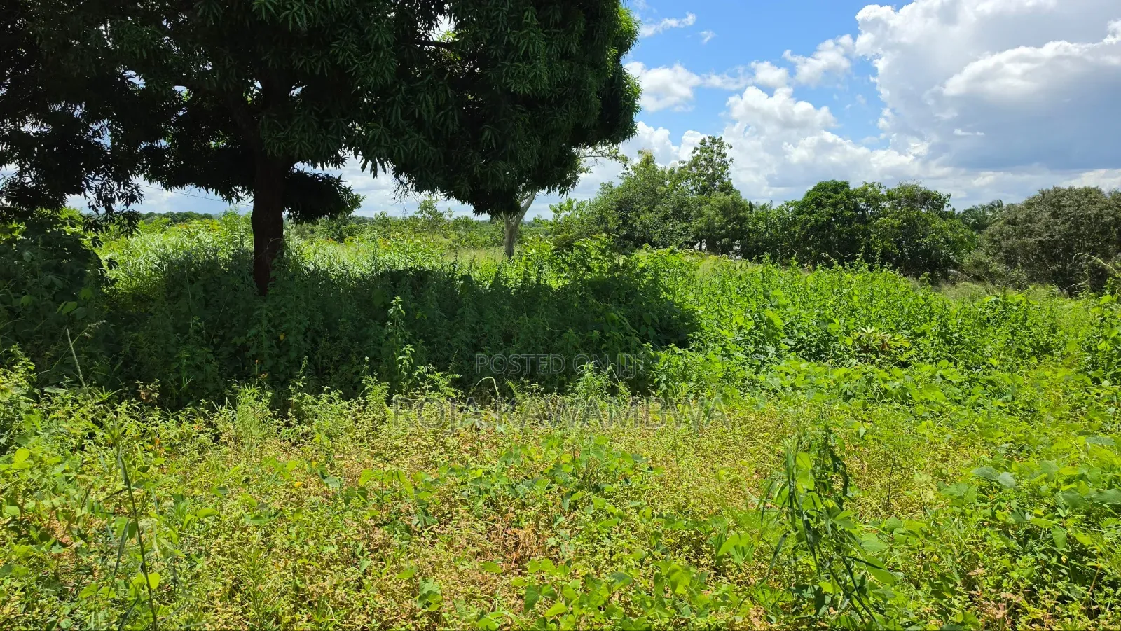 Shamba Linauzwa