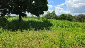Shamba Linauzwa