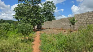 Shamba Linauzwa