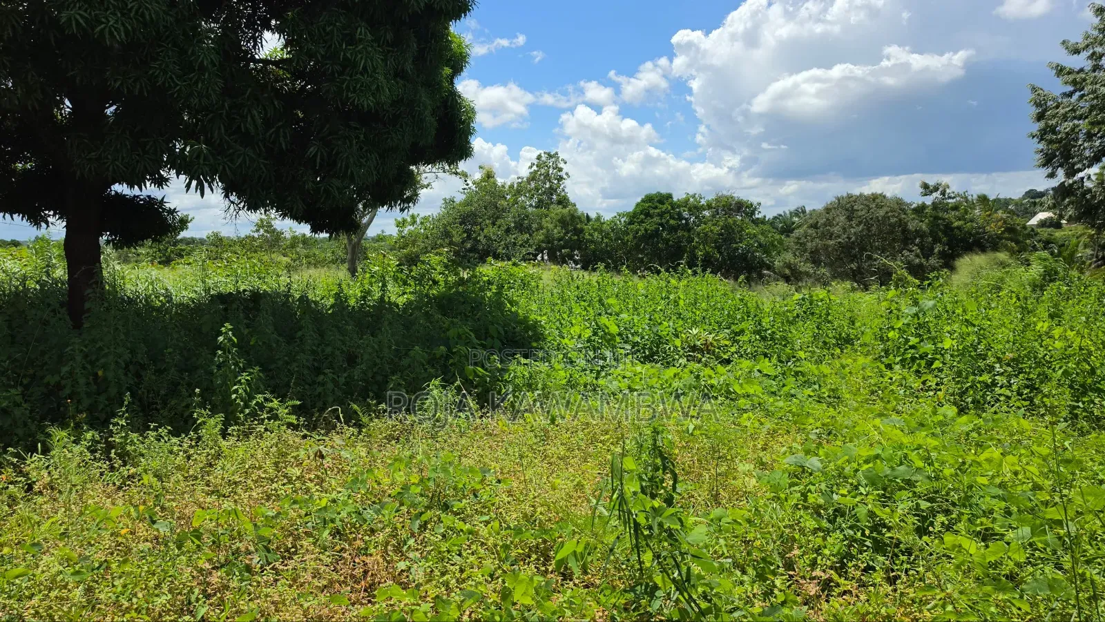 Shamba Linauzwa