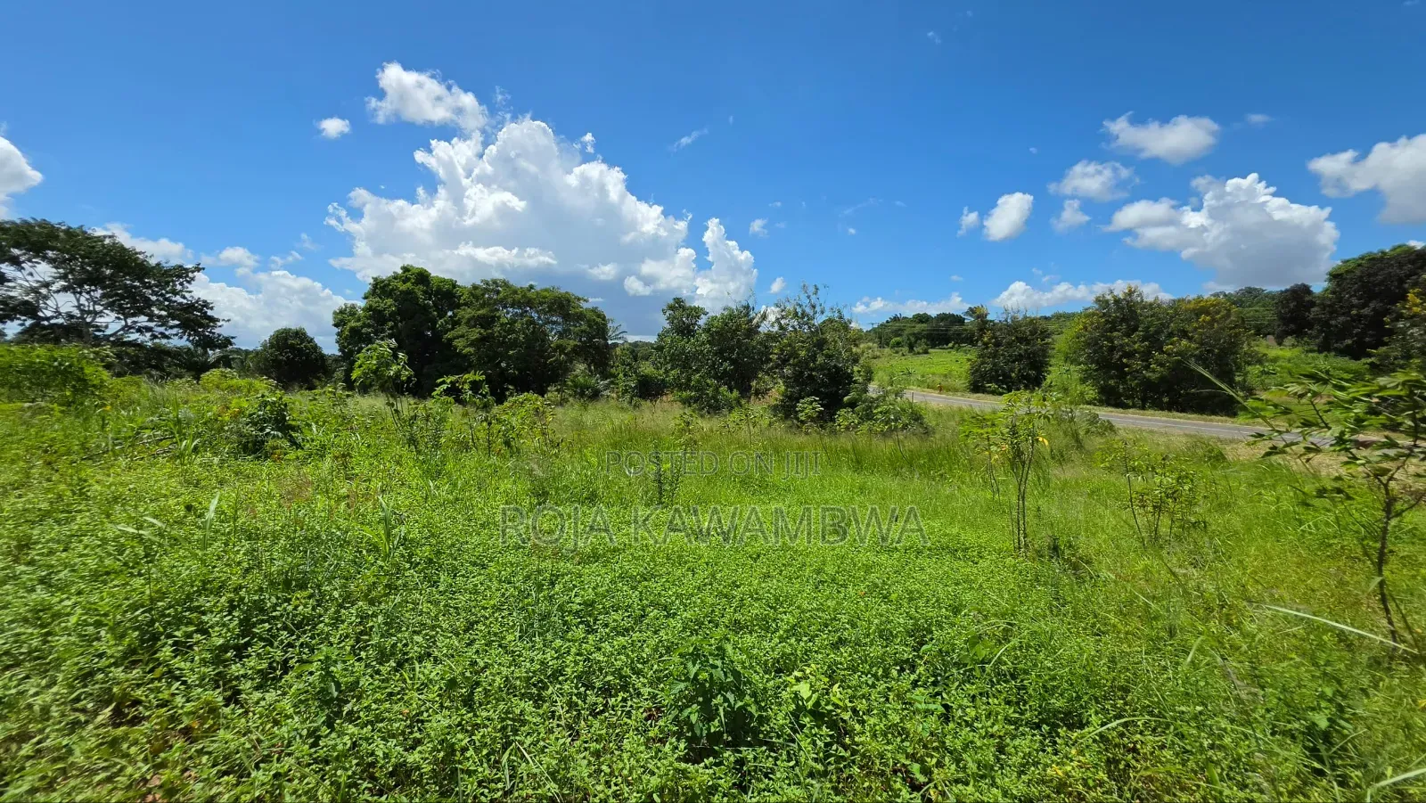 Shamba Linauzwa