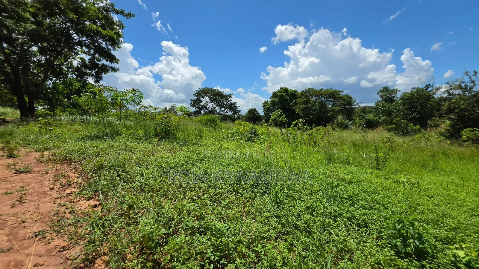 Shamba Linauzwa