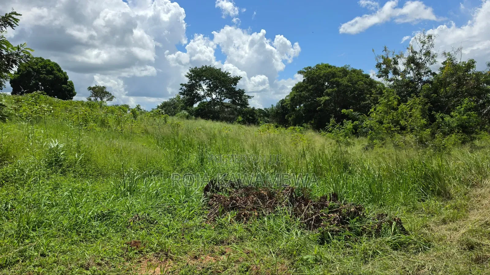Shamba Linauzwa