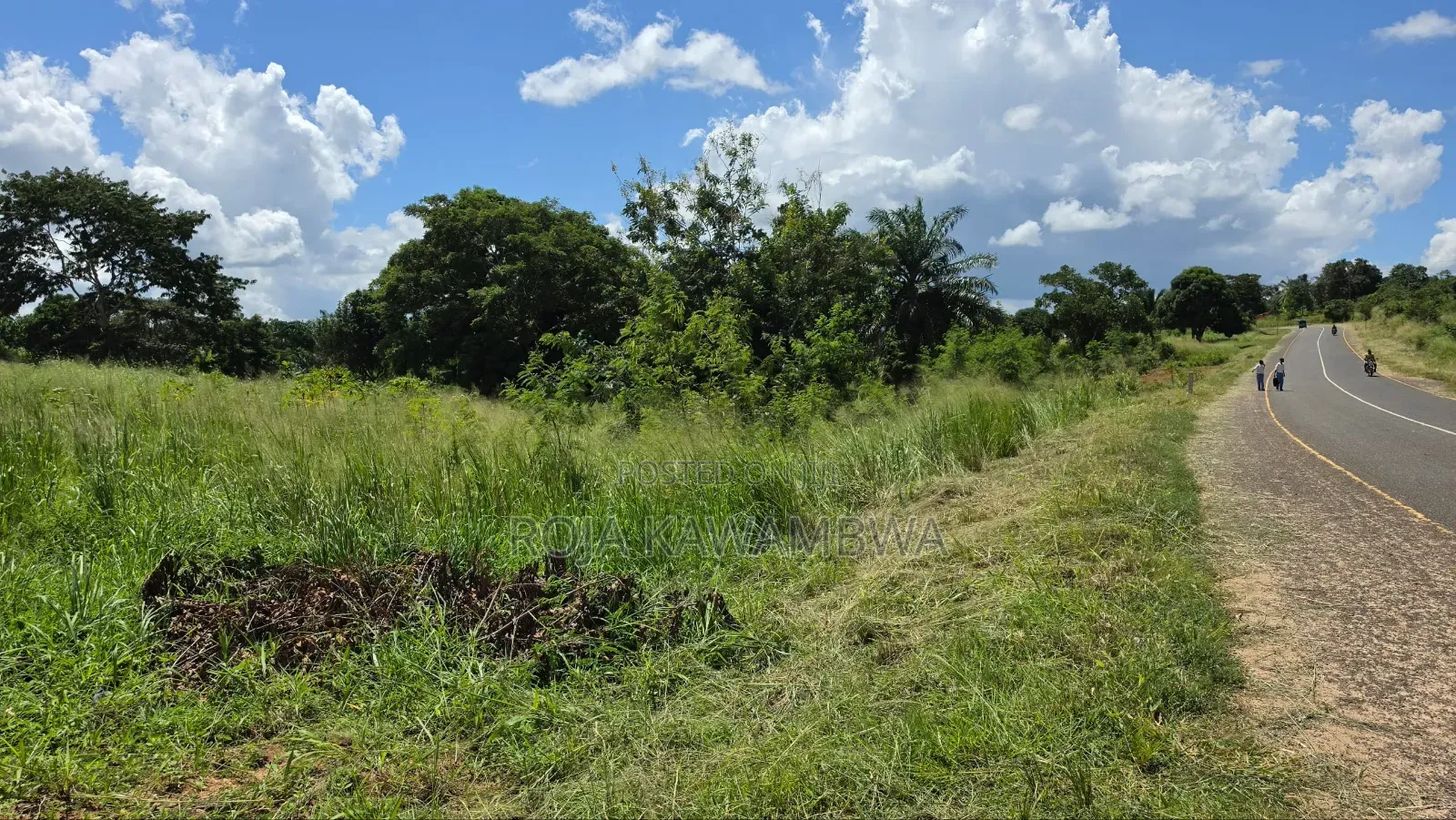 Shamba Linauzwa