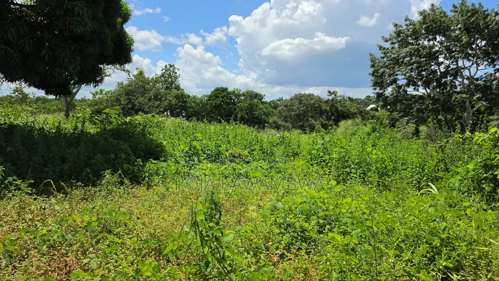 Shamba Linauzwa