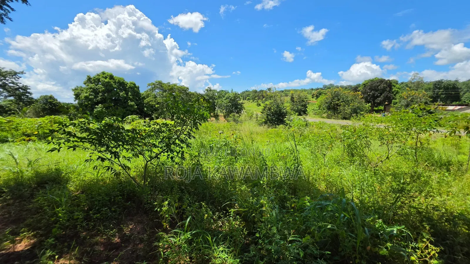 Shamba Linauzwa