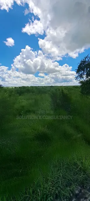 Eneo Linauzwa Bago