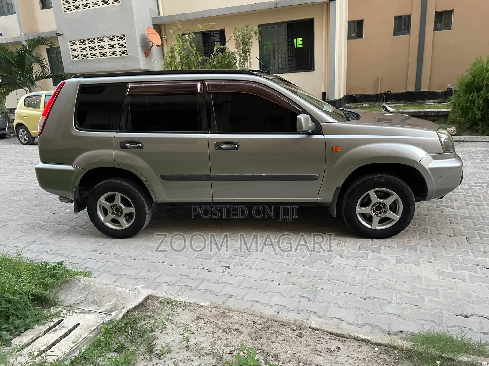 Nissan X-Trail 2005 Gray