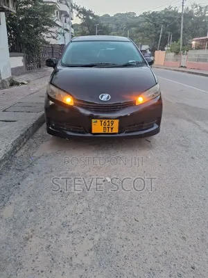 Toyota Wish 2011 Black