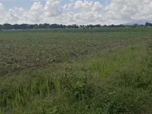 Viwanja Bei Poa Bomang'ombe, Na Unalipa Kwa Wamu Mbili Tofauti