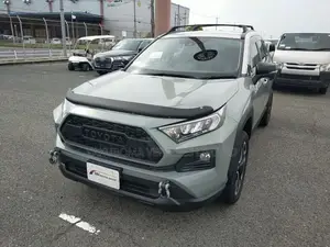 Toyota RAV4 2020 Brown