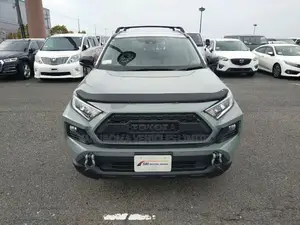 Toyota RAV4 2020 Brown