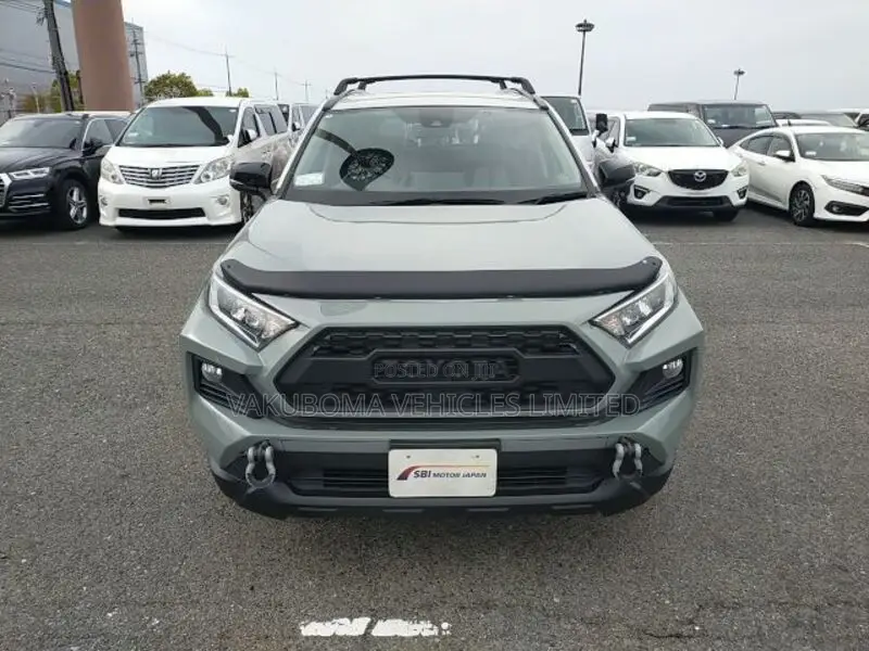 Toyota RAV4 2020 Brown