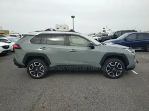 Toyota RAV4 2020 Brown
