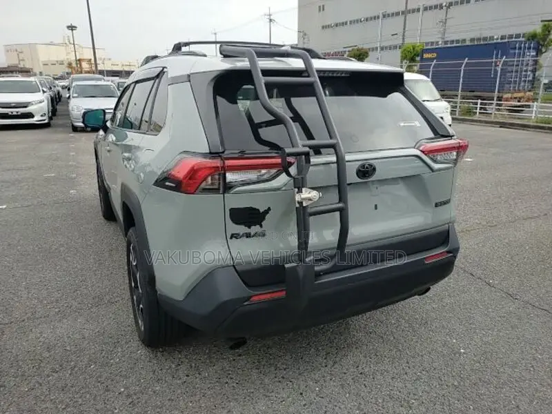 Toyota RAV4 2020 Brown