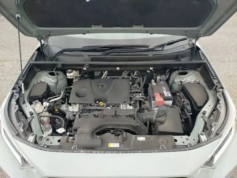 Toyota RAV4 2020 Brown