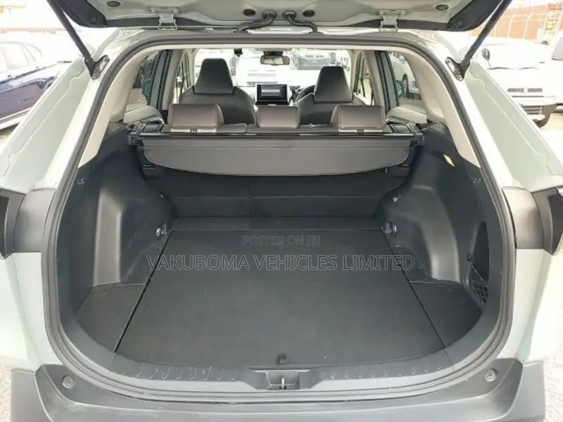 Toyota RAV4 2020 Brown