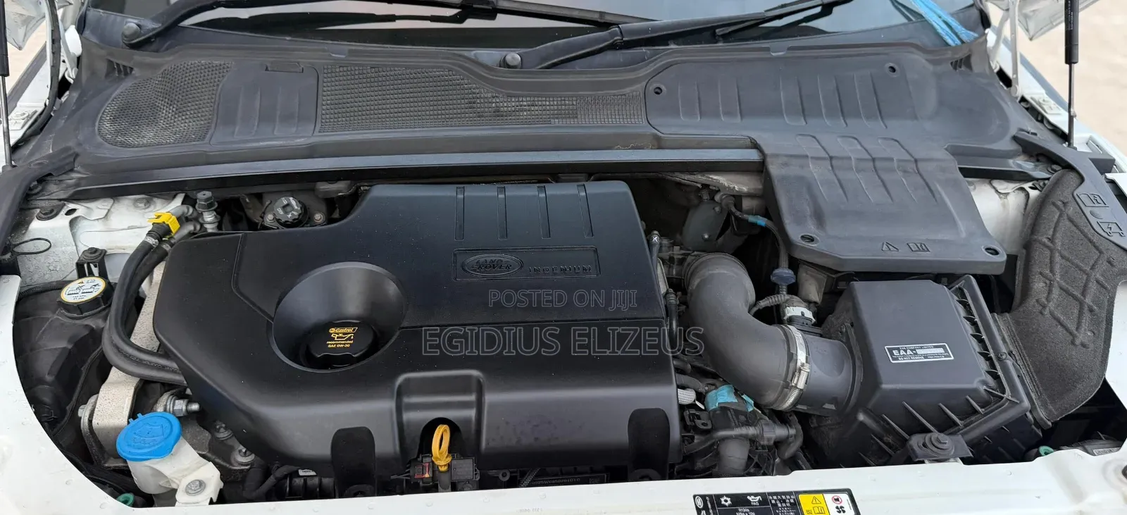 Land Rover Range Rover Evoque 2019 White