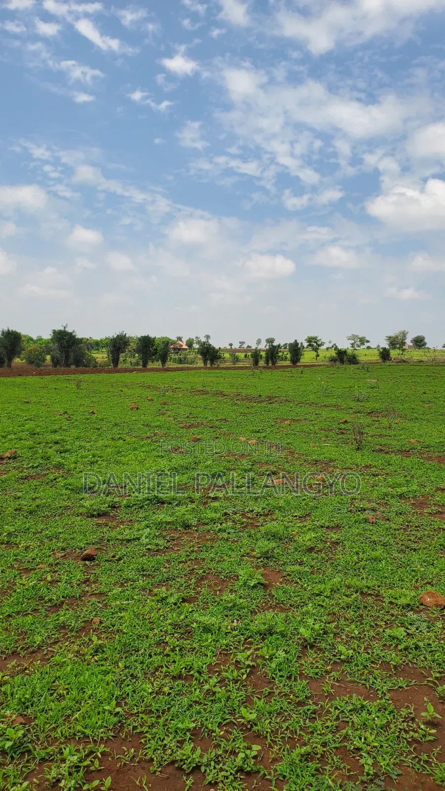 East Africa Imeitika Tena Viwanja Bei Ganda La Ndizi