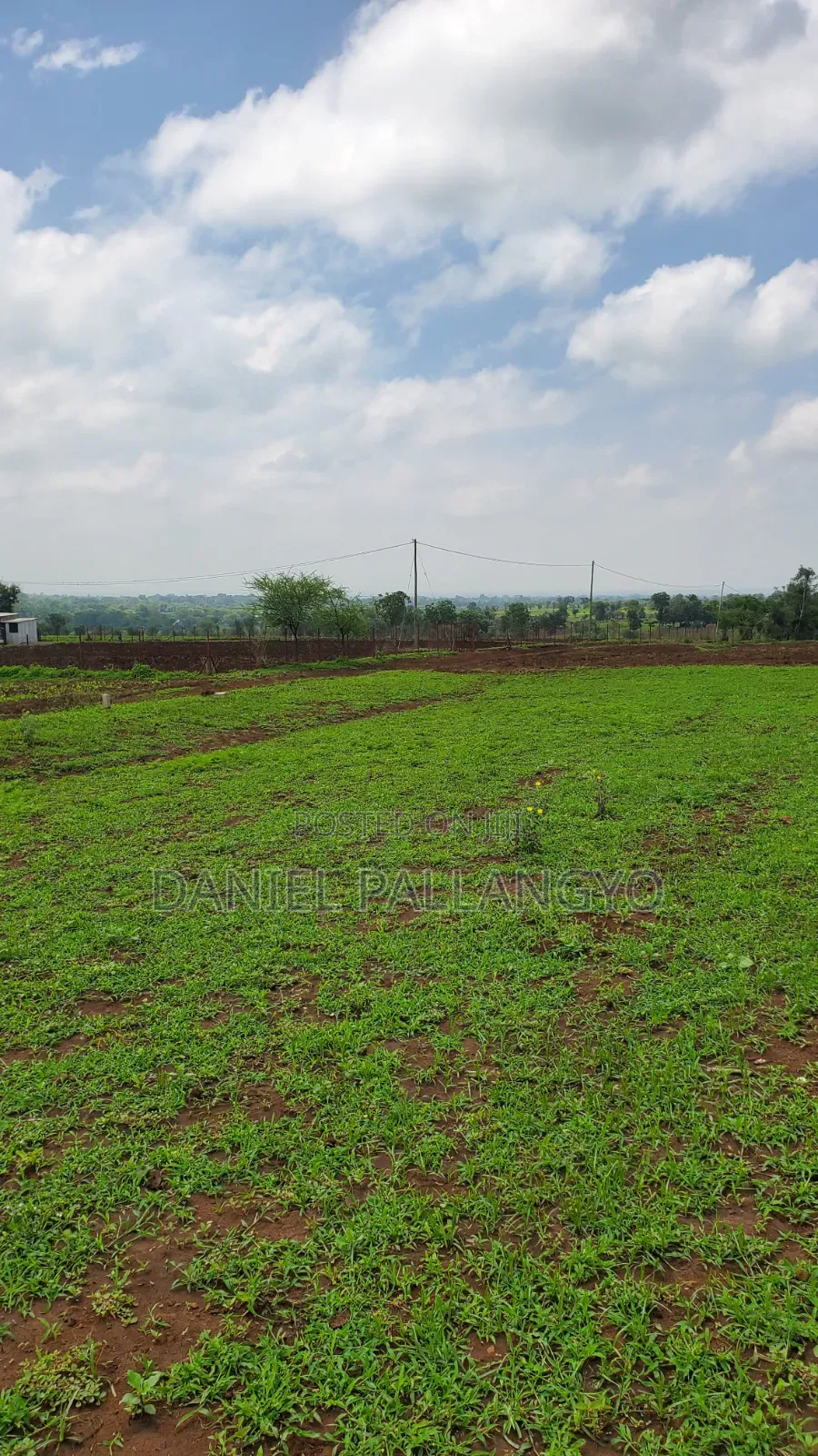 East Africa Imeitika Tena Viwanja Bei Ganda La Ndizi
