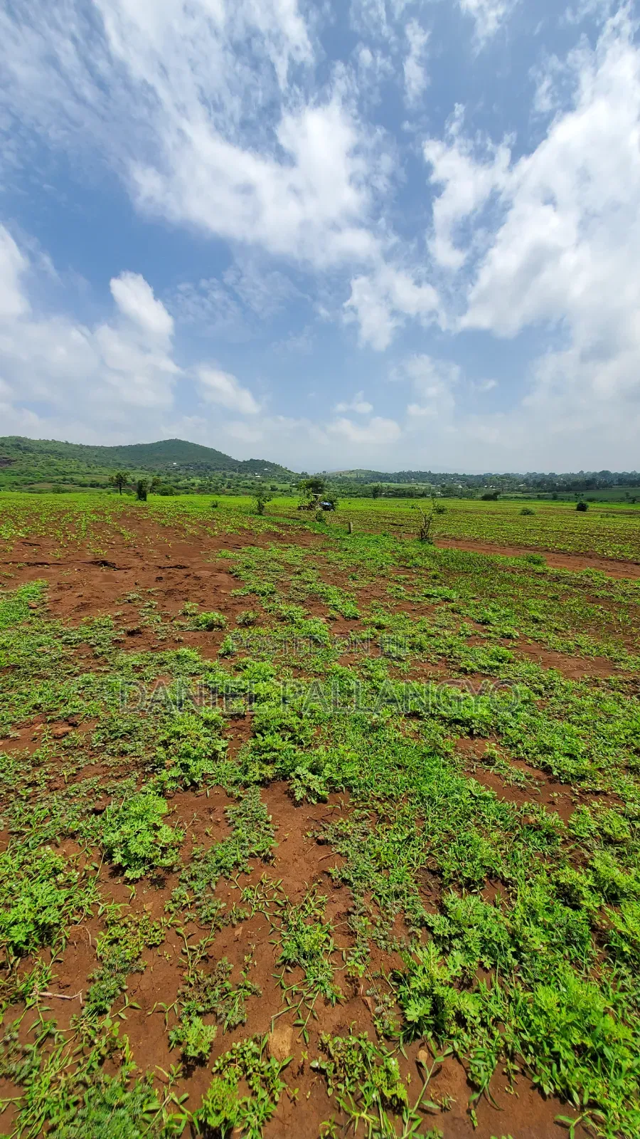 East Africa Imeitika Tena Viwanja Bei Ganda La Ndizi