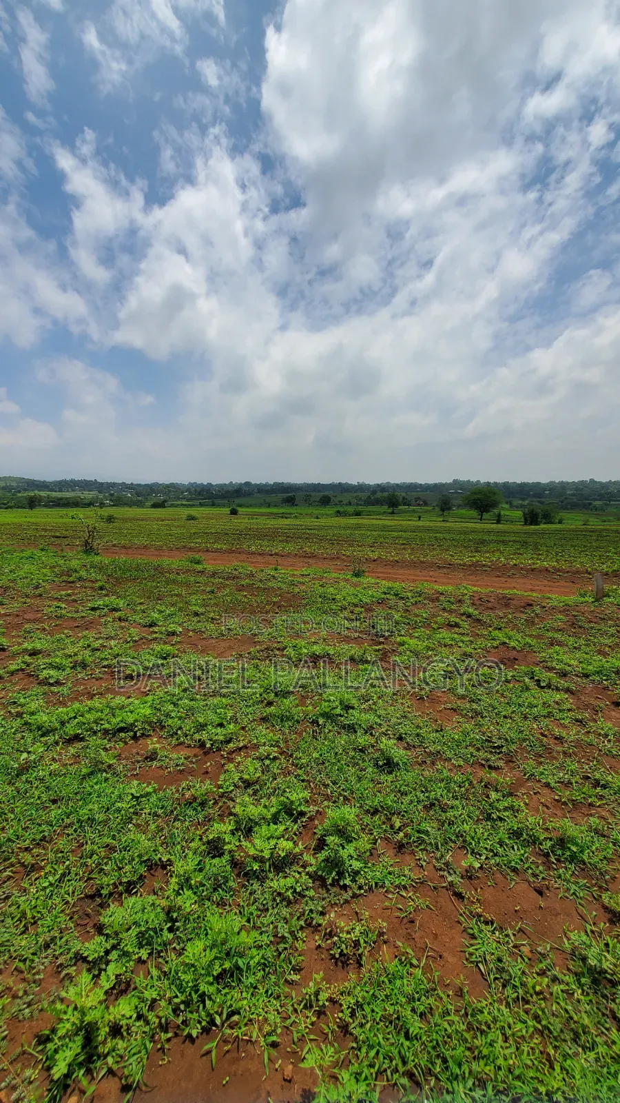 East Africa Imeitika Tena Viwanja Bei Ganda La Ndizi