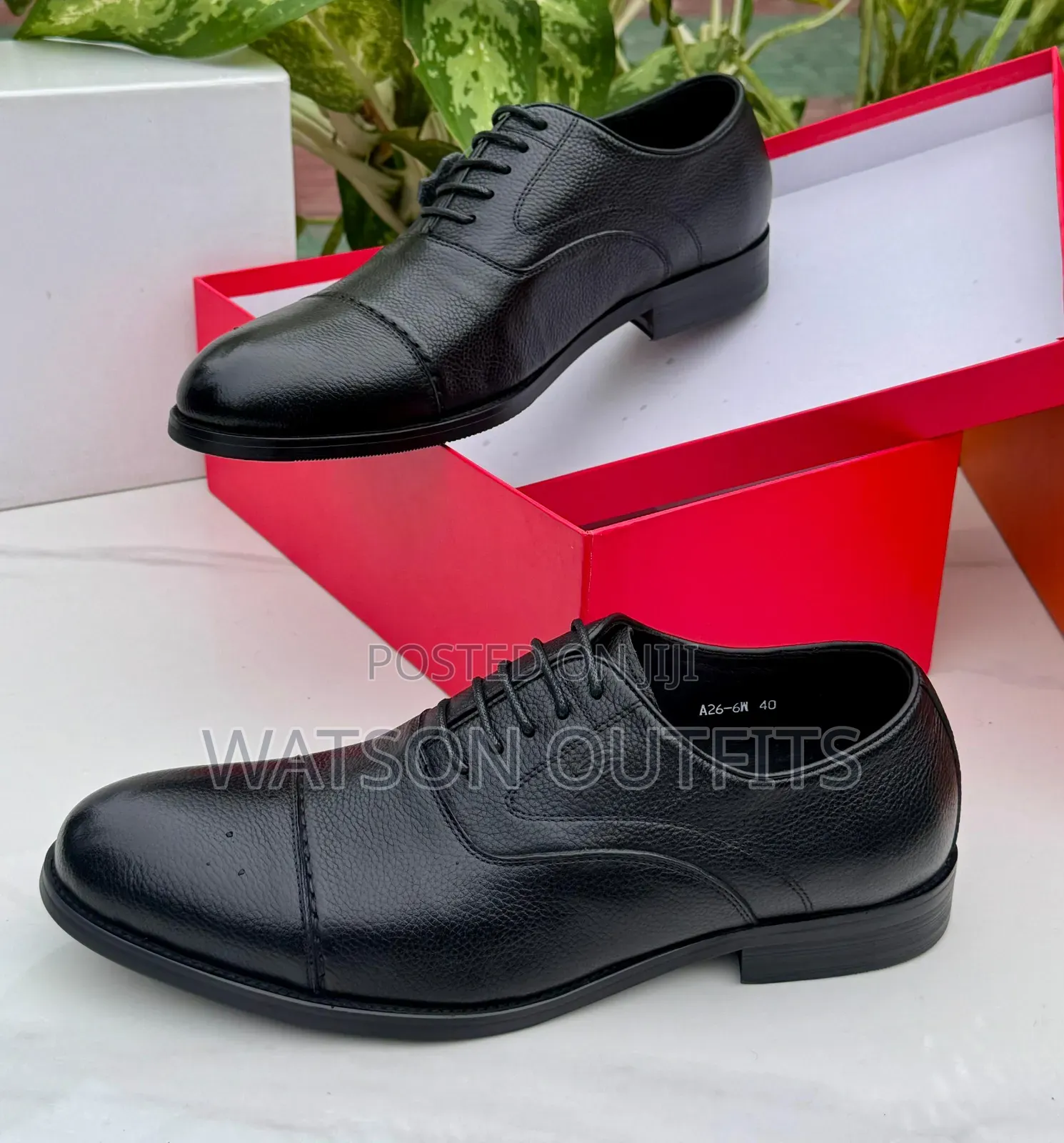 Men's Pure and Original Leather Shoes Berlutti Renato Castelo F Baneti