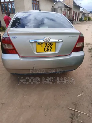 Toyota Corolla RunX 2006 Silver