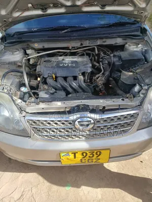 Toyota Corolla RunX 2006 Silver