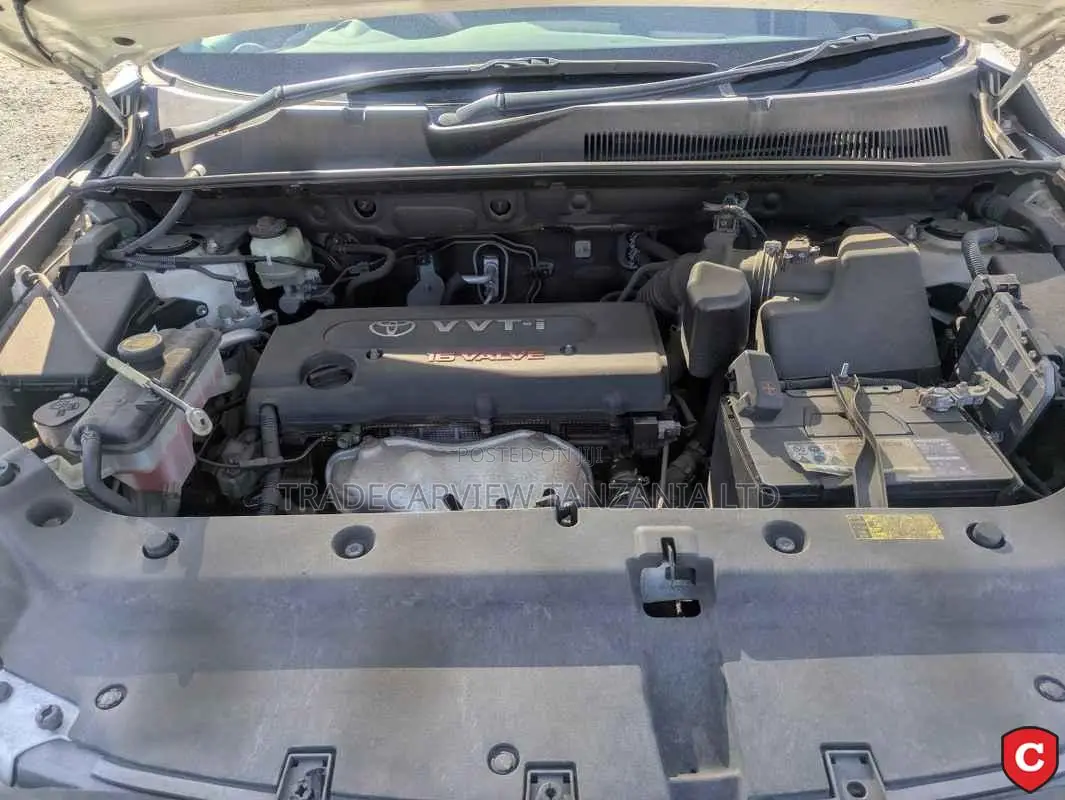 Toyota Vanguard 2008 Pearl