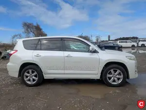 Toyota Vanguard 2009 Pearl