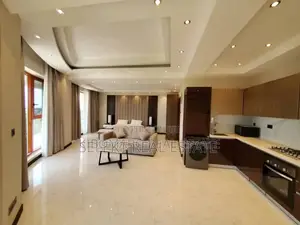 Furnished 1bdrm Apartment in Masaki for rent