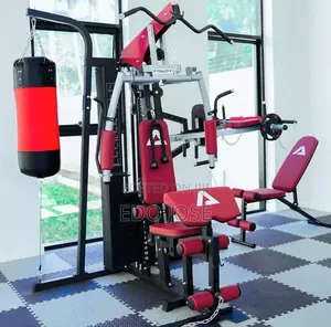 Three (3) Station Mult Gym