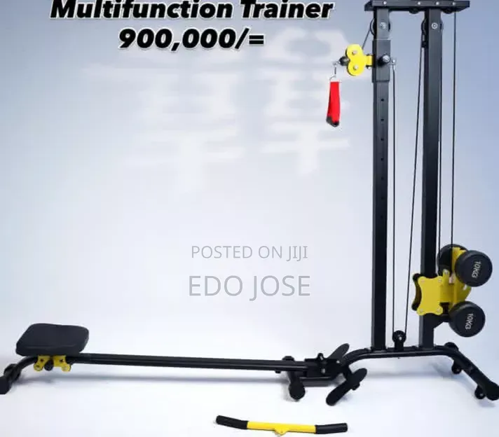 Multifunction Trainer