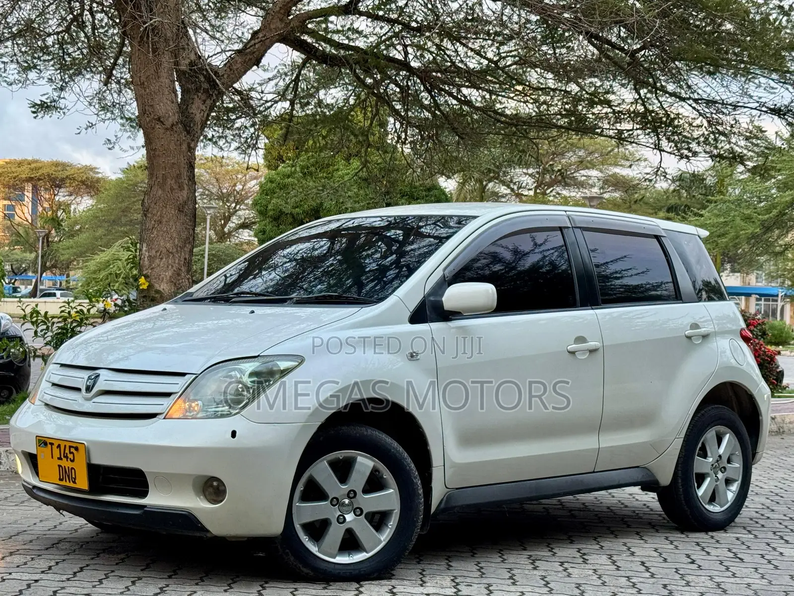 Toyota IST 2004 Pearl