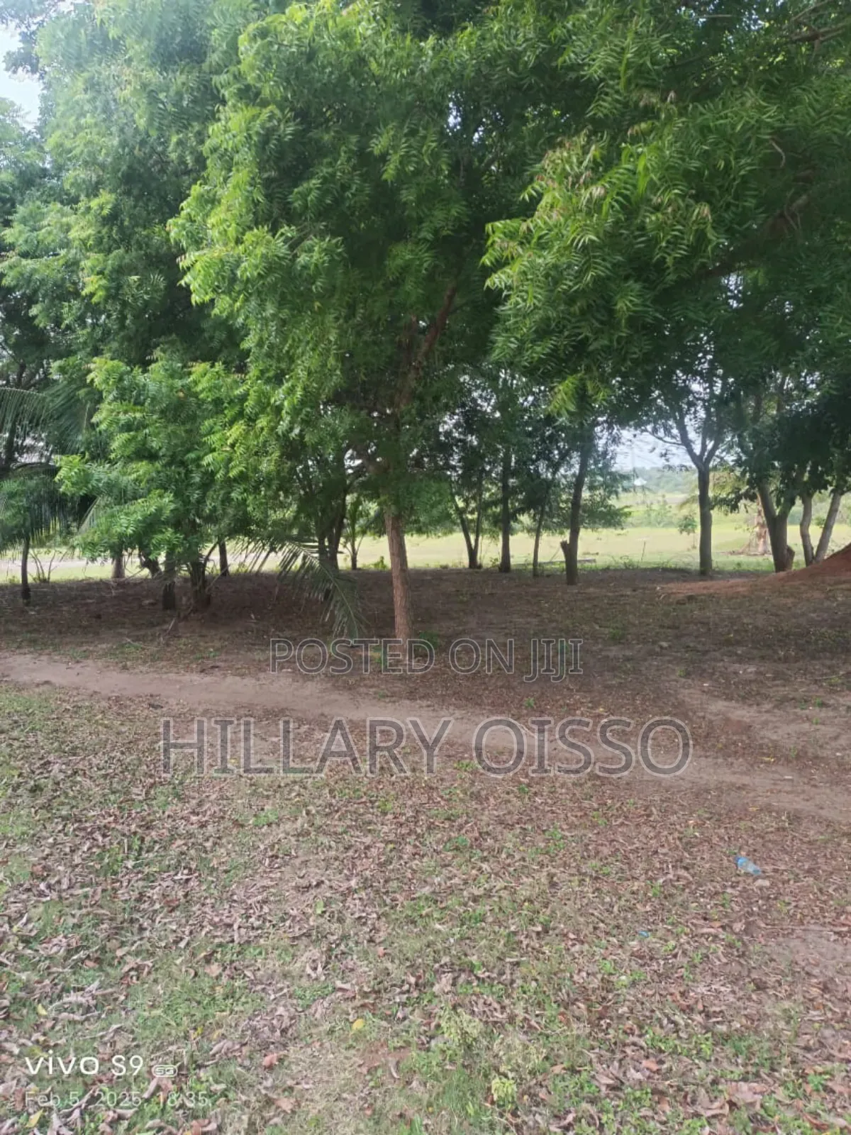 Land and Buildings for Sale